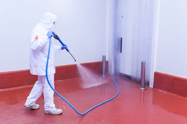 Best Winterizing Services  in Gang Mills, NY